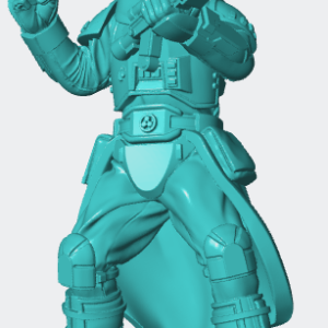 Imperial winter trooper 10